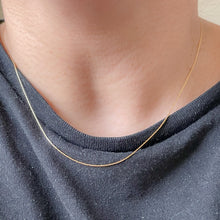 Load image into Gallery viewer, The Barely There Necklace